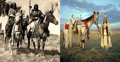 History of the most special American horse breed in the world Appaloosa