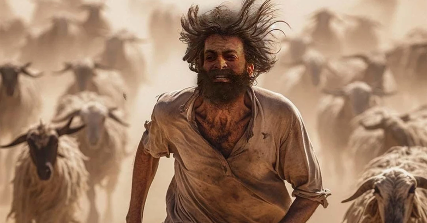 Desert Adventure movie: The Goat Life