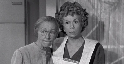 The Beverly Hillbillies: The Family Tree